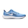 Nike Pegasus 39 UNC | STYLO