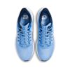 Nike Pegasus 39 UNC | STYLO