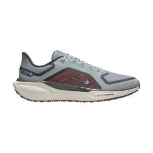 Nike Pegasus 41 GORE-TEX Light Pumice/Ashen Slate Nike Pegasus 41 GORE-TEX Light Pumice/Ashen Slate | STYLO