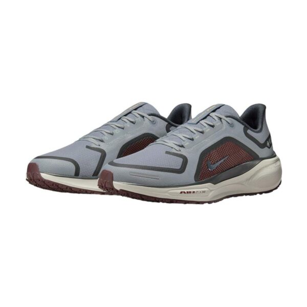 Nike Pegasus 41 GORE-TEX Light Pumice/Ashen Slate | STYLO