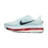 Nike Pegasus Premium Barely Green | STYLO