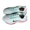 Nike Pegasus Premium Barely Green | STYLO