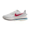 Nike Pegasus Premium Forrest Gump | STYLO