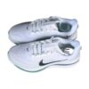 Nike Pegasus Premium White Mint Foam | STYLO