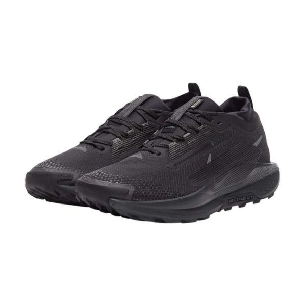 Nike Pegasus Trail 5 GORE-TEX Black | STYLO