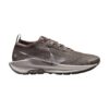 Nike Pegasus Trail 5 GORE-TEX Waterproof Ironstone/College Grey Nike Pegasus Trail 5 GORE-TEX Waterproof Ironstone/College Grey | STYLO