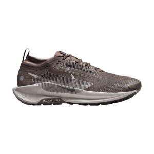 Nike Pegasus Trail 5 GORE-TEX Waterproof Ironstone/College Grey Nike Pegasus Trail 5 GORE-TEX Waterproof Ironstone/College Grey | STYLO