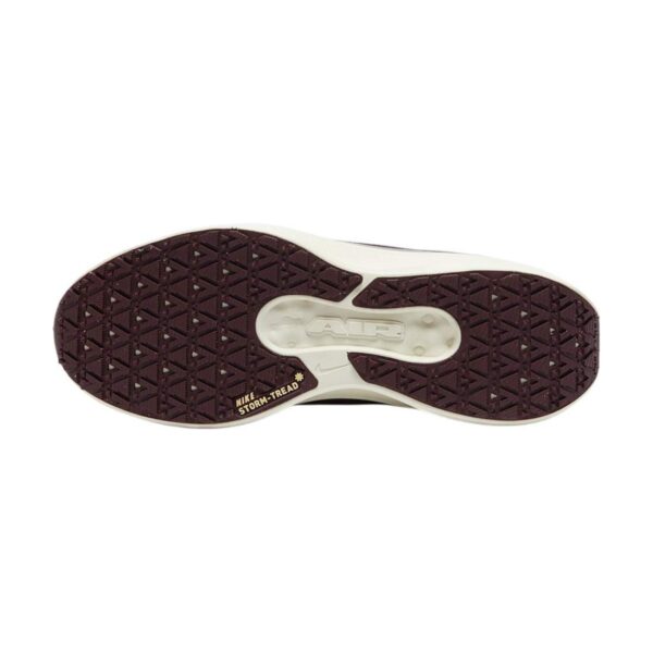 Nike Winflo 11 GORE-TEX Light Pumice/Ashen Slate | STYLO