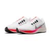 Pegasus 38 Rawdacious Pegasus 38 Rawdacious | STYLO