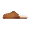 UGG Scuff Chestnut (Men) | STYLO