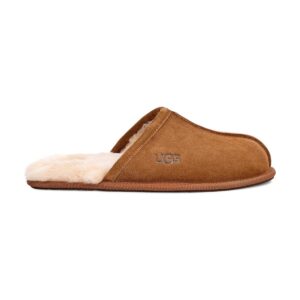 UGG Scuff Chestnut (Men)