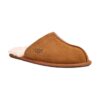 UGG Scuff Chestnut (Men) | STYLO