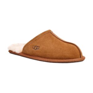 UGG Scuff Chestnut (Men)