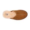 UGG Scuff Chestnut (Men) | STYLO