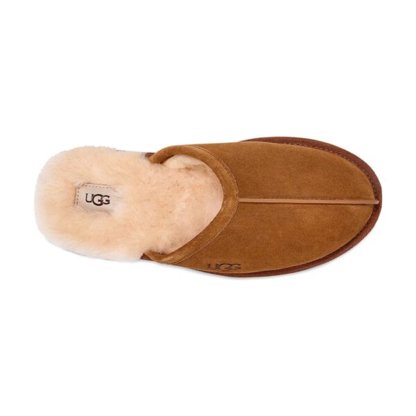 UGG Scuff Chestnut (Men) | STYLO