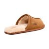UGG Scuff Chestnut (Men) | STYLO